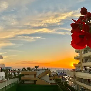 https://apartment-ocean-park-in-costa-adeje-tenerife.adeje-hotels.com
